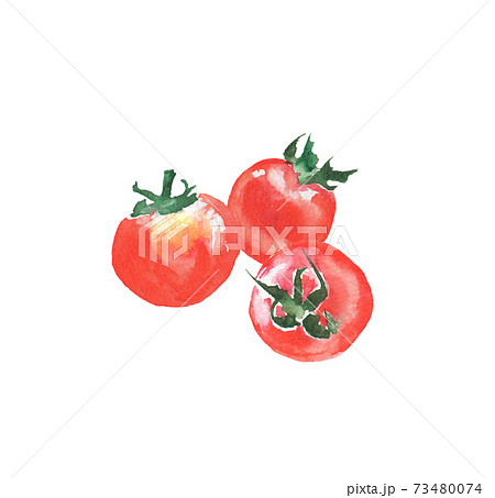 水彩で描いたミニトマトのイラストのイラスト素材