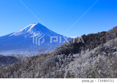 富士見橋から望む富士山　霧氷 73480531