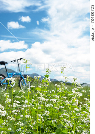 蒜山高原　秋のイメージ 73480725