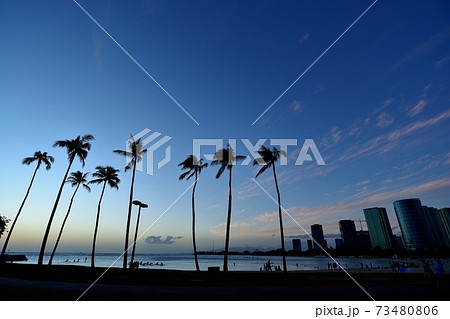 ハワイの休日 73480806