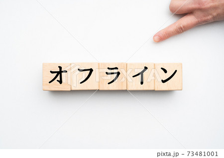 イメージ オフライン イメージ オフライン 73481001