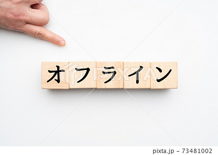 イメージ　オフライン 73481002