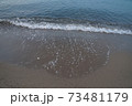 浜辺と波 73481179