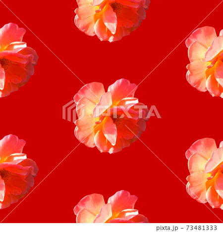 Seamless pattern with roses on a red background 73481333