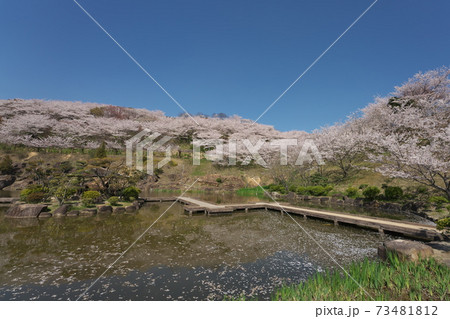 《岡山県》晴れの日、春の種松山公園西園地の風景 《岡山県》晴れの日、春の種松山公園西園地の風景 73481812