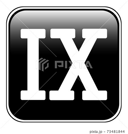 Roman numeral nine. 73481844