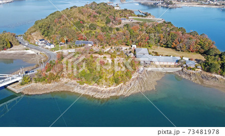 野牛島の空撮 73481978