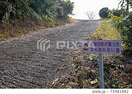 天草四郎が通ったかもしれない道 73481982