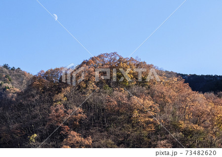 奥多摩の秋 11月 奥多摩の秋 11月 73482620