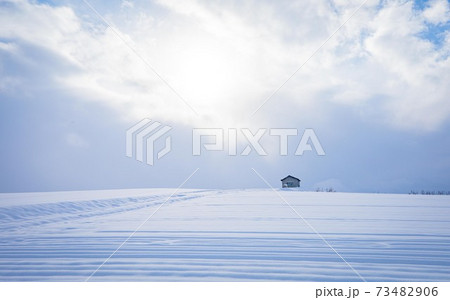 北海道美瑛町 雪の丘 12月 北海道美瑛町 雪の丘 12月 73482906