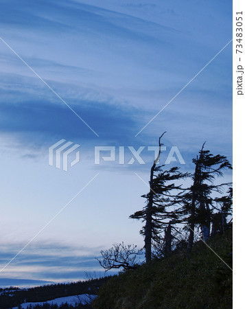 風雪に負けない　岩手県八幡平市 73483051
