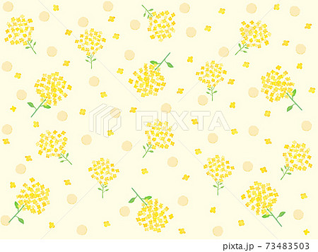 手描き水彩風 菜の花の黄色背景のイラスト素材