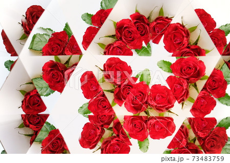 小さな薔薇・万華鏡2 小さな薔薇・万華鏡2 73483759