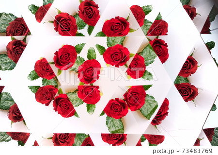 小さな薔薇・万華鏡10 小さな薔薇・万華鏡10 73483769