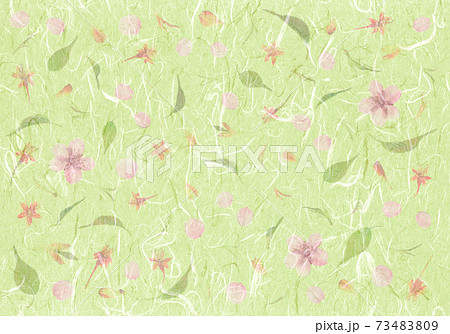 春のイメージ押し花、河津桜の萌黄色漉き込み和紙 73483809