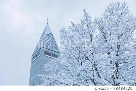 北海道美瑛町 ビルケの森 12月 北海道美瑛町 ビルケの森 12月 73484220