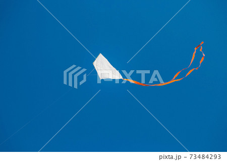 White red tailed kite flying against blue clear sky 73484293