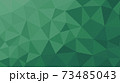 green background illustration.jpg 73485043