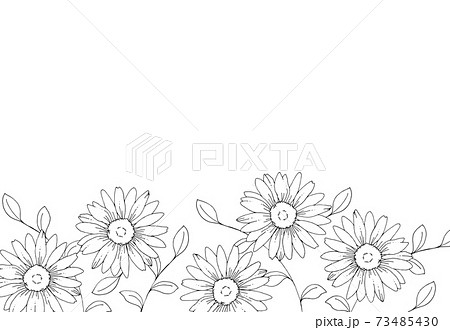 Daisy Flower Hand Drawn Line Art Illustration Stock Illustration
