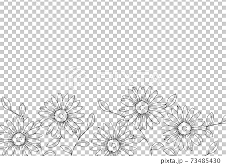 Daisy flower hand-drawn line art illustration 73485430