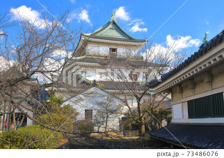 【和歌山県】晴天下の和歌山城　大天守と小天守 73486076
