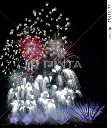 長岡まつり大花火大会「この空の花」 73486177