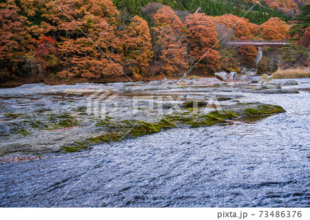 （群馬県）紅葉に包まれた、吹割の滝・上流部 73486376