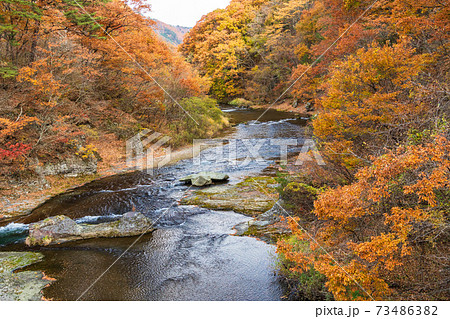 （群馬県）紅葉に包まれた、吹割の滝・上流部 73486382