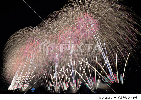 長岡まつり大花火大会 復興祈願花火フェニックス の写真素材