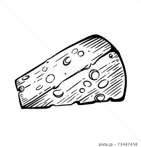 A piece of cheese on a white background sketch 73487458