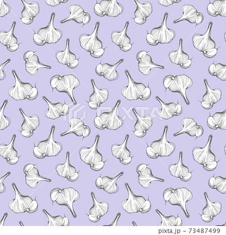 Hand-drawn seamless pattern of garlic on a lilac background.vector illustration 73487499