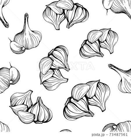 seamless pattern of garlic on a white background 73487561
