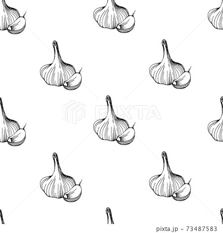 seamless pattern of garlic on a white background 73487583