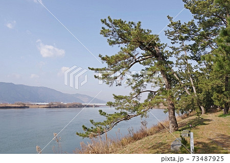 海津市千本松原⑧ 養老山脈と揖斐川、油島大橋を望む 73487925