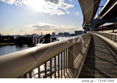 夕暮れのお台場レインボーブリッジ歩道 夕暮れのお台場レインボーブリッジ歩道 73487999
