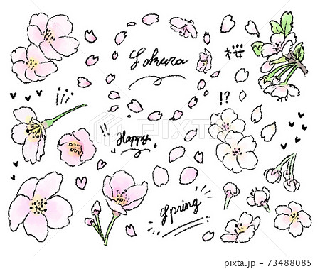 手書き風の桜 水彩イラストセットのイラスト素材