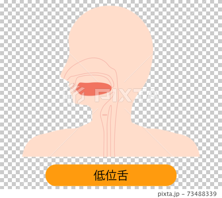 低舌的插圖 低舌的插圖 73488339