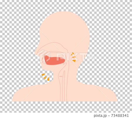 低舌的插圖 低舌的插圖 73488341