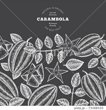 Hand drawn sketch style carambola banner. Organic fresh fruit vector illustration on chalk board. Retro fruit design template Hand drawn sketch style carambola banner. Organic fresh fruit vector illustration on chalk board. Retro fruit design template 73488430