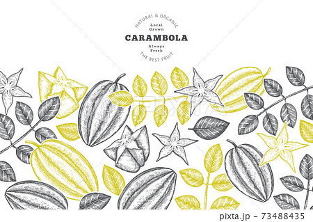 Hand drawn sketch style carambola banner. Organic fresh fruit vector illustration. Retro fruit design template 73488435