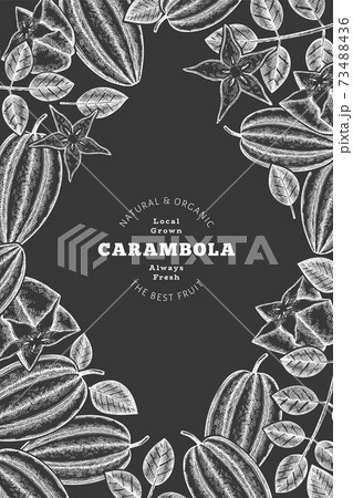 Hand drawn sketch style carambola banner. Organic fresh fruit vector illustration on chalk board. Retro fruit design template 73488436