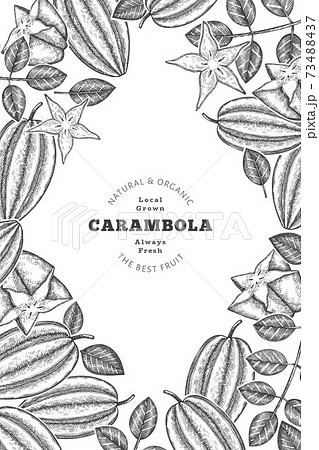 Hand drawn sketch style carambola banner. Organic fresh fruit vector illustration. Retro fruit design template 73488437