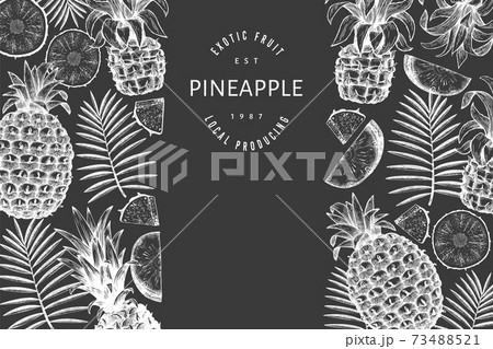 Hand drawn sketch style pineapple banner. Organic fresh fruit vector illustration on chalk board. Botanical design template. Hand drawn sketch style pineapple banner. Organic fresh fruit vector illustration on chalk board. Botanical design template. 73488521