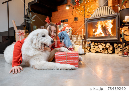 Woman with dog during New Year holidays at home 73489240