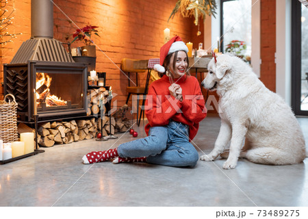 Woman with dog during New Year holidays at home 73489275