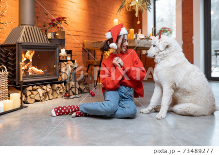 Woman with dog during New Year holidays at home 73489277