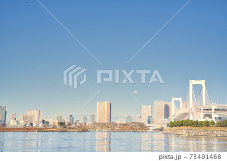 【東京都】1月・快晴　お台場海浜公園 73491468