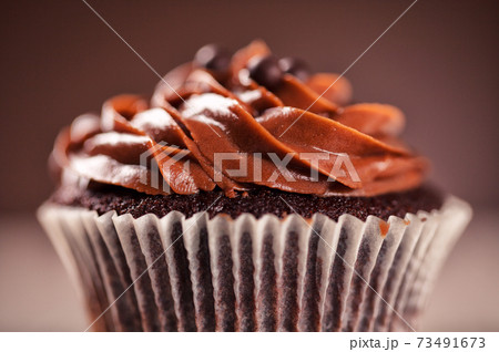Colored Cupcake on Background. High quality photo. Colored Cupcake on Background. High quality photo. 73491673