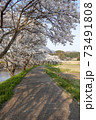 宇陀川の桜 73491808