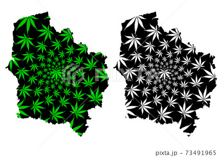 Hauts-de-France (France, administrative region) map is designed cannabis leaf green and black, Nord-Pas-de-Calais and Picardy map made of marijuana (marihuana,THC) foliage,.. 73491965